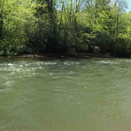 Cabin Fever On Cartecay River Ellijay Exterior photo